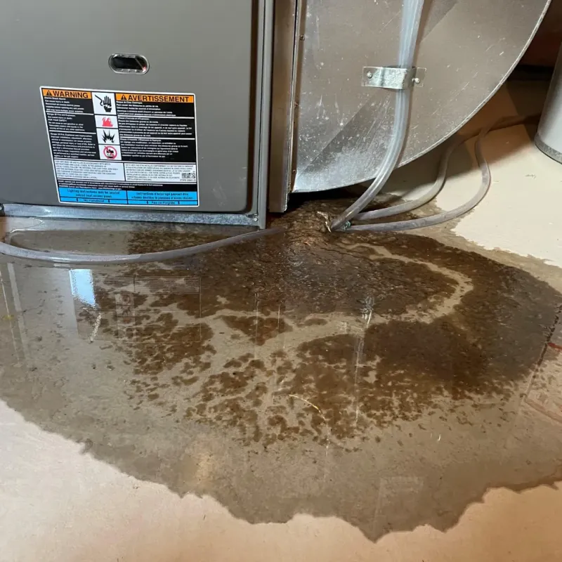 Appliance Leak Cleanup in Icard, NC